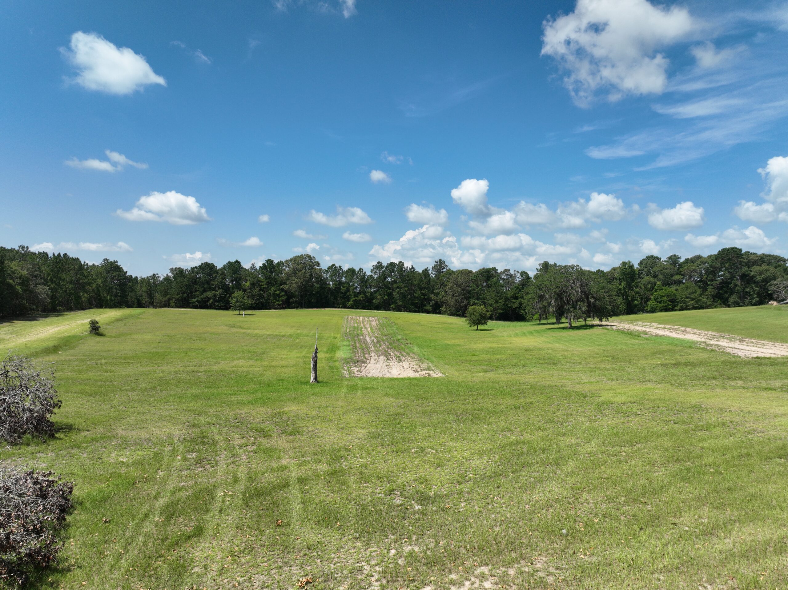 47.7 Acres with Custom Home & Abundant Wildlife