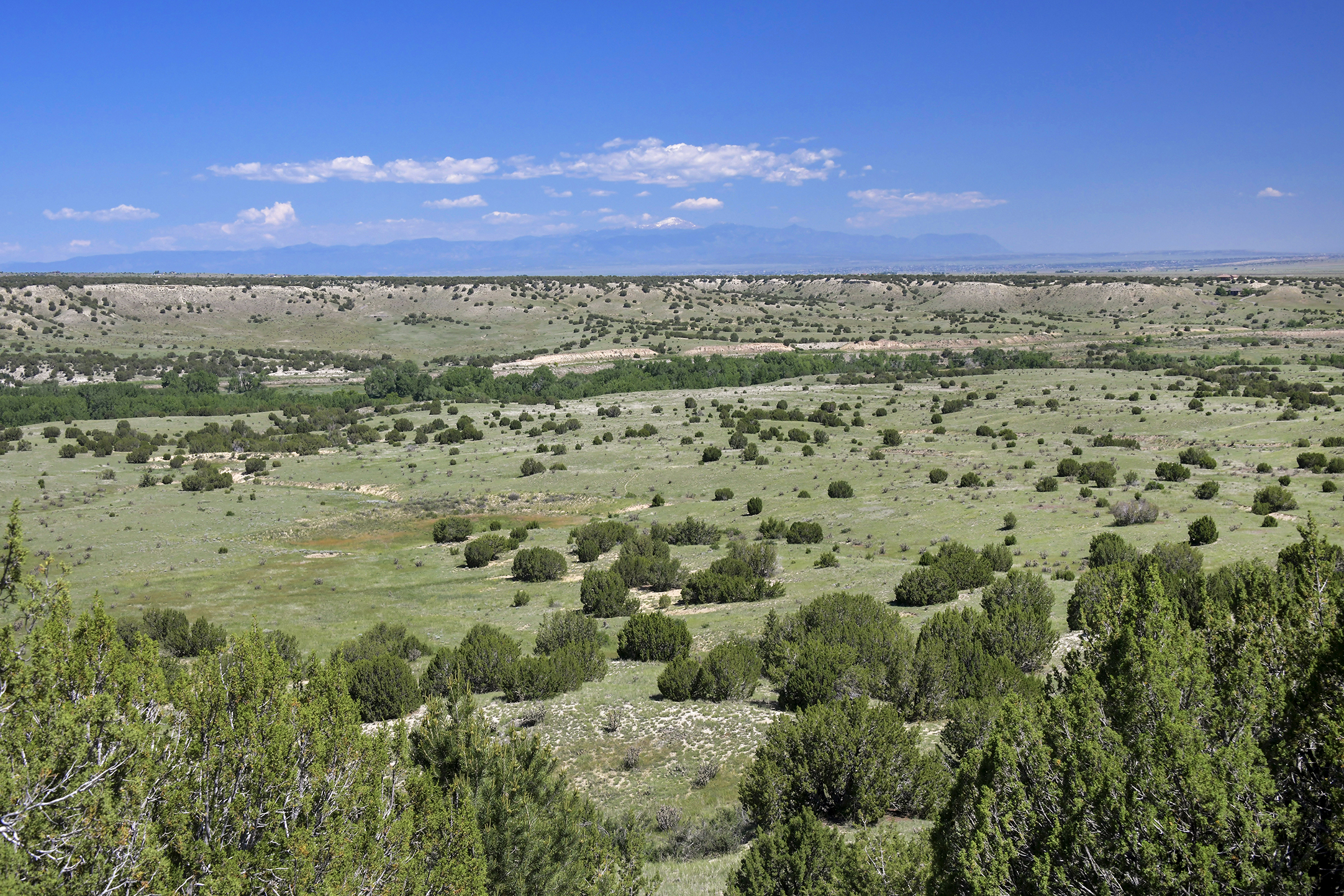 Burnt Mill Ranch – 643± Acres of Prime Colorado Ranchland