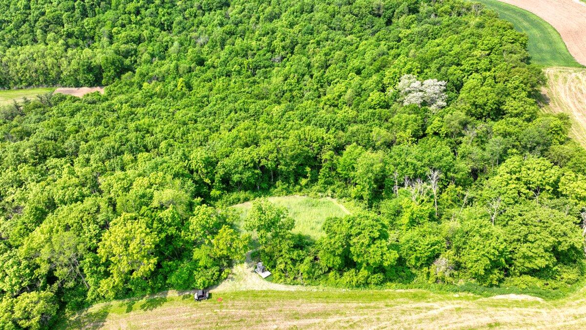 Twenty-One-Acre Hidden Gem in Vernon County WI