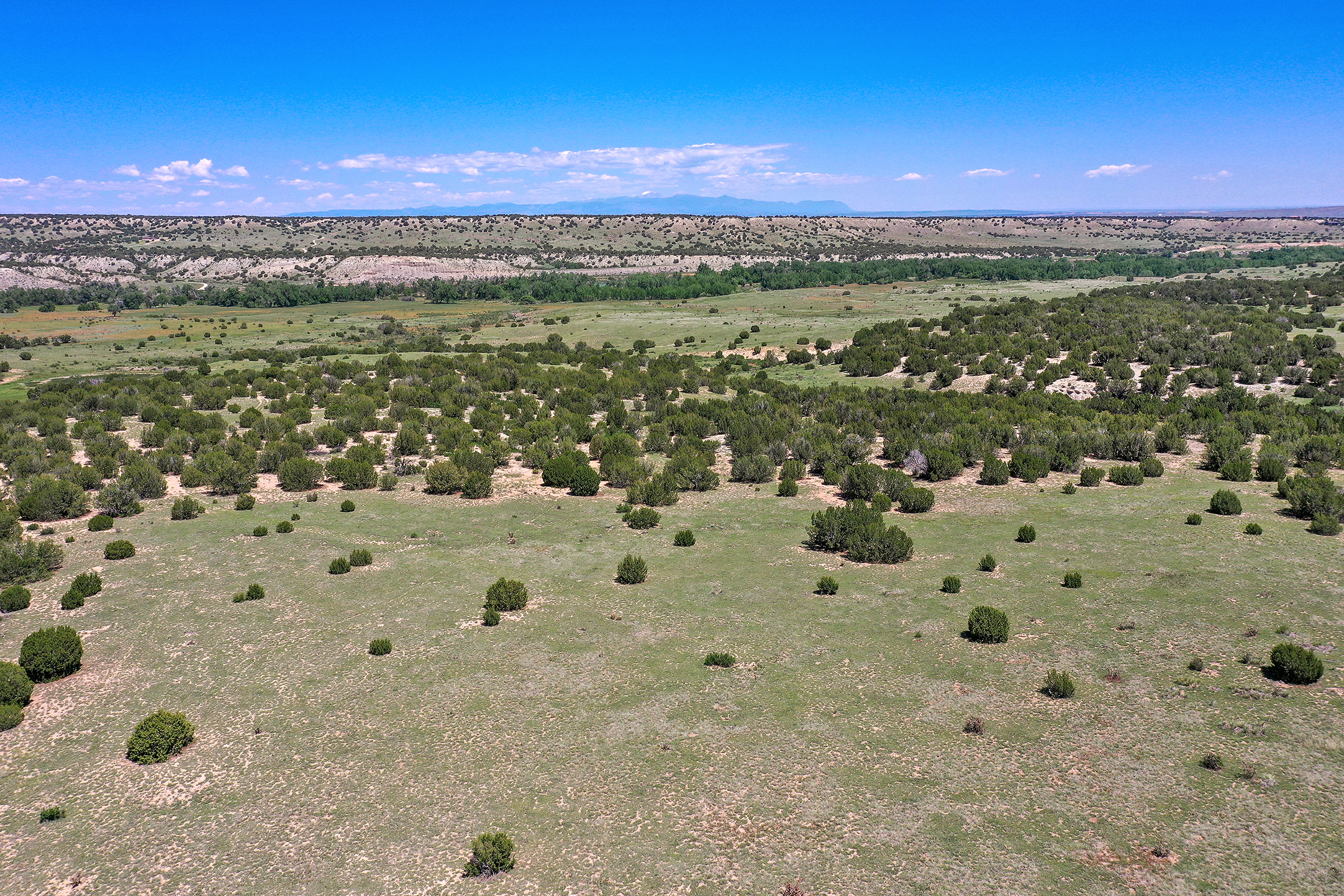 Burnt Mill Ranch – 643± Acres of Prime Colorado Ranchland