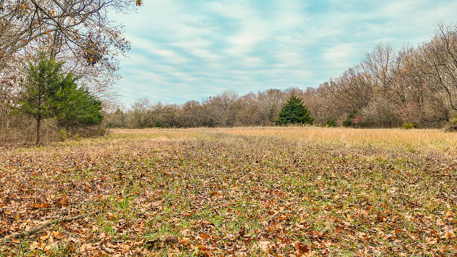 293 +/- acre hunting property for sale Lowry City MO