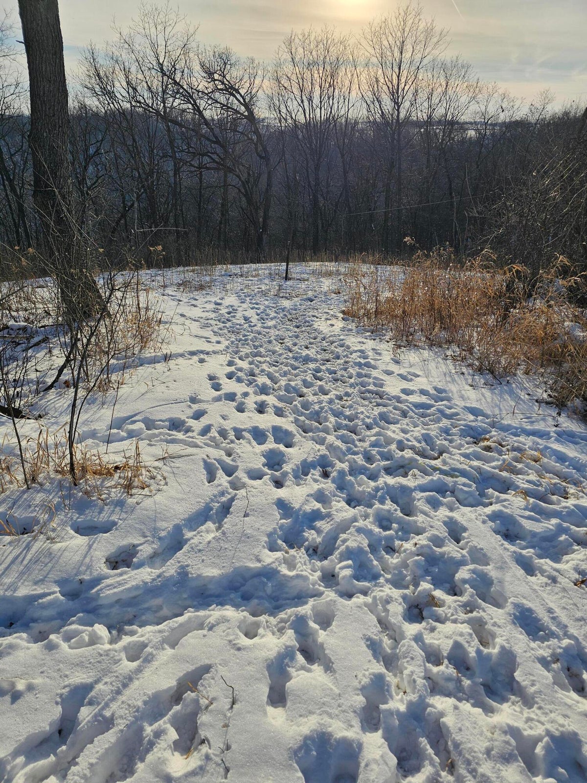 Twenty-One-Acre Hidden Gem in Vernon County WI