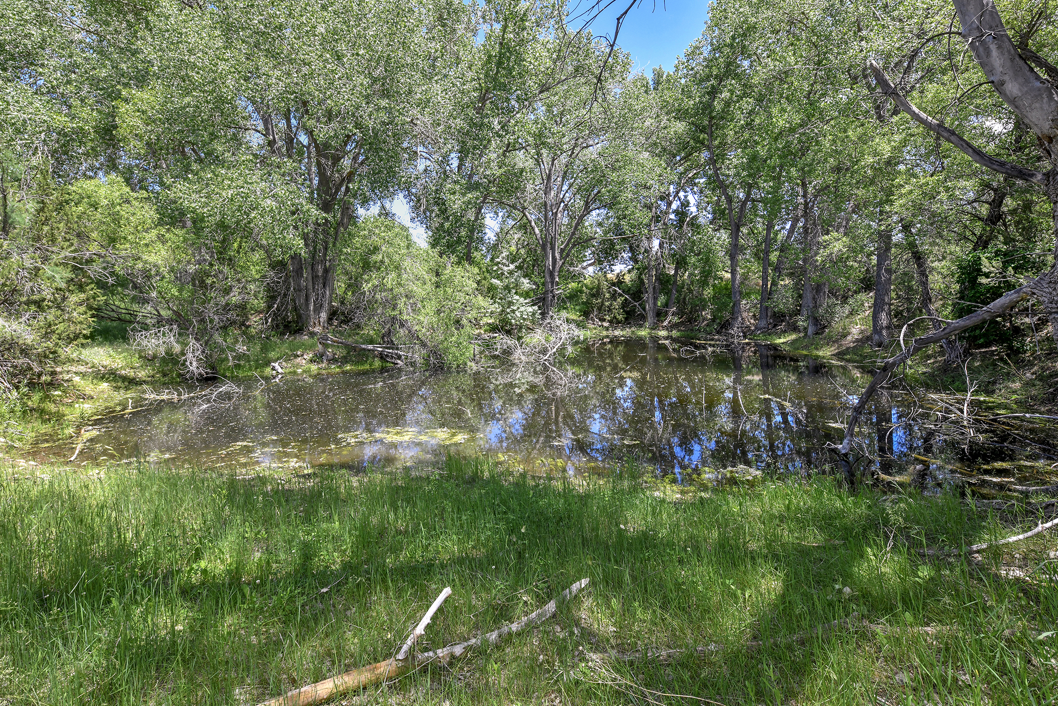 Burnt Mill Ranch – 643± Acres of Prime Colorado Ranchland
