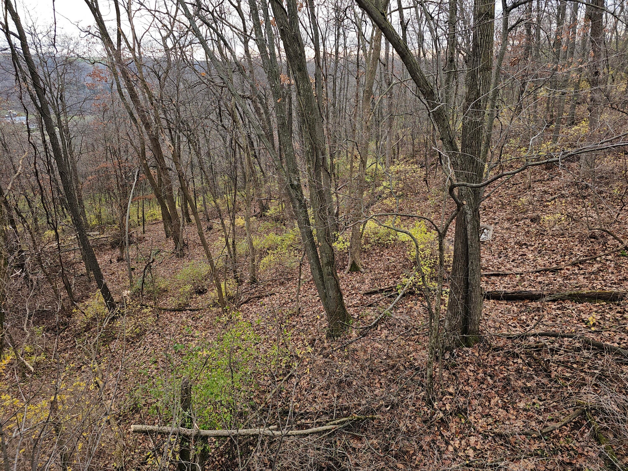 Twenty-One-Acre Hidden Gem in Vernon County WI