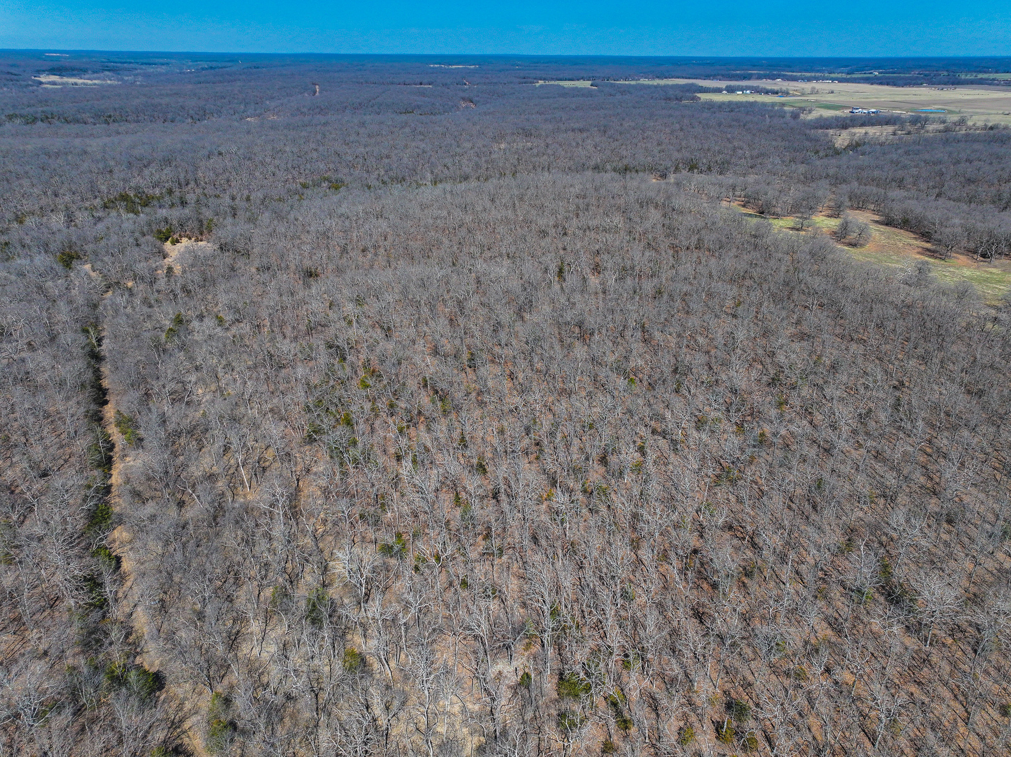 89+/- Acre Hunting property with a nice home and shop