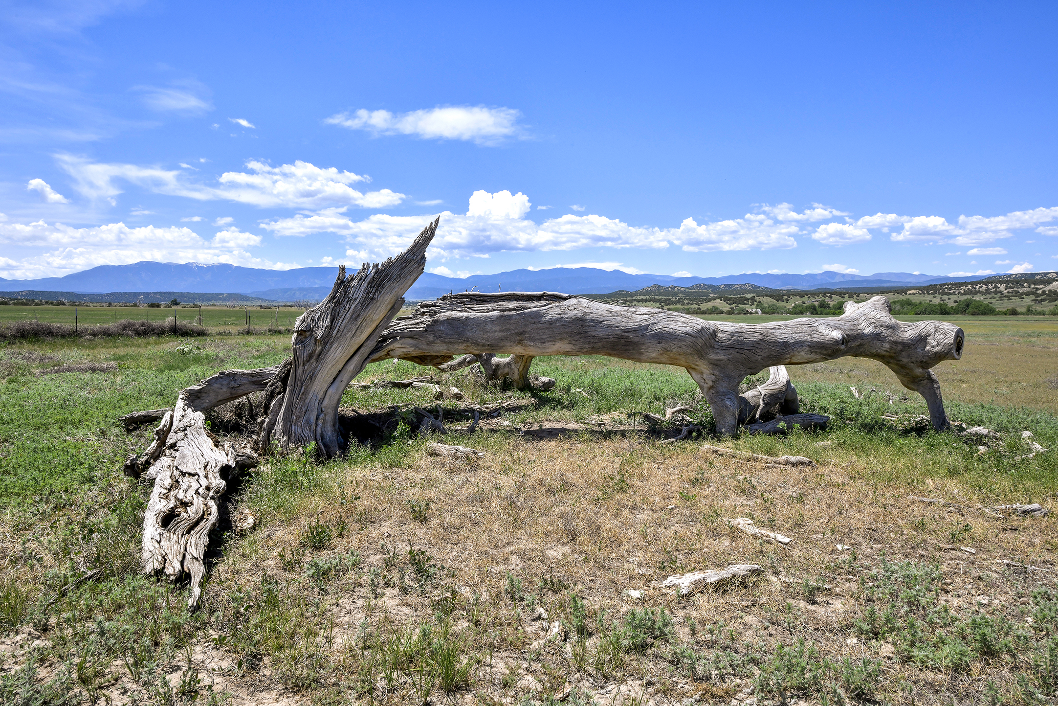Burnt Mill Ranch – 643± Acres of Prime Colorado Ranchland