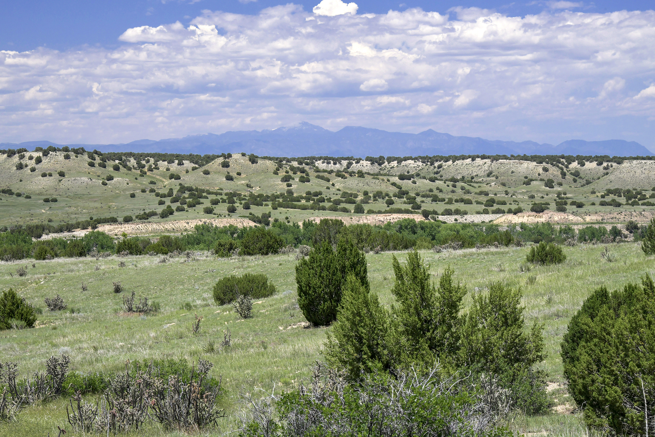 Burnt Mill Ranch – 643± Acres of Prime Colorado Ranchland