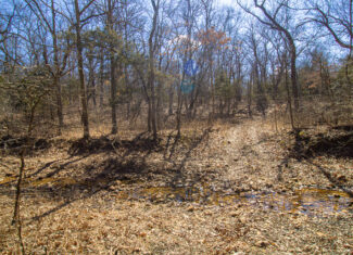 Hunting property for sale, Truman Lake