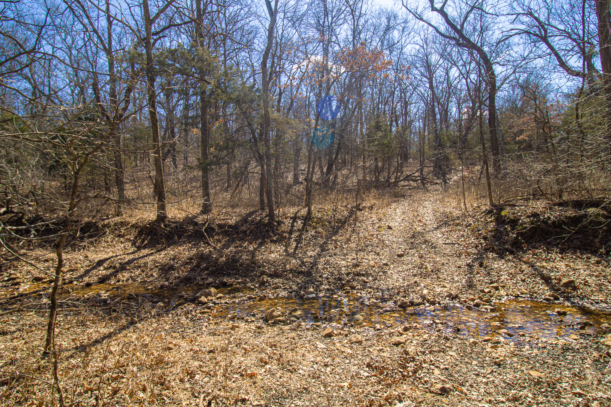 89+/- Acre Hunting property with a nice home and shop