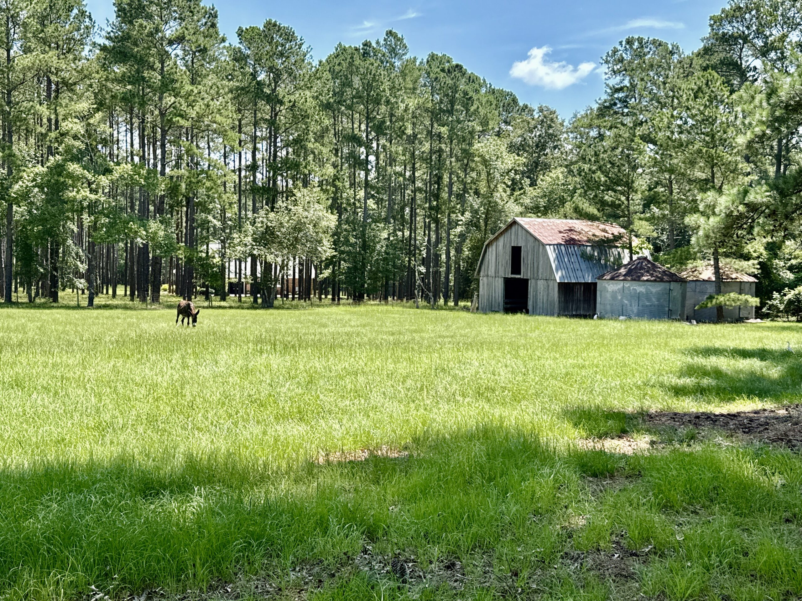 47.7 Acres with Custom Home & Abundant Wildlife