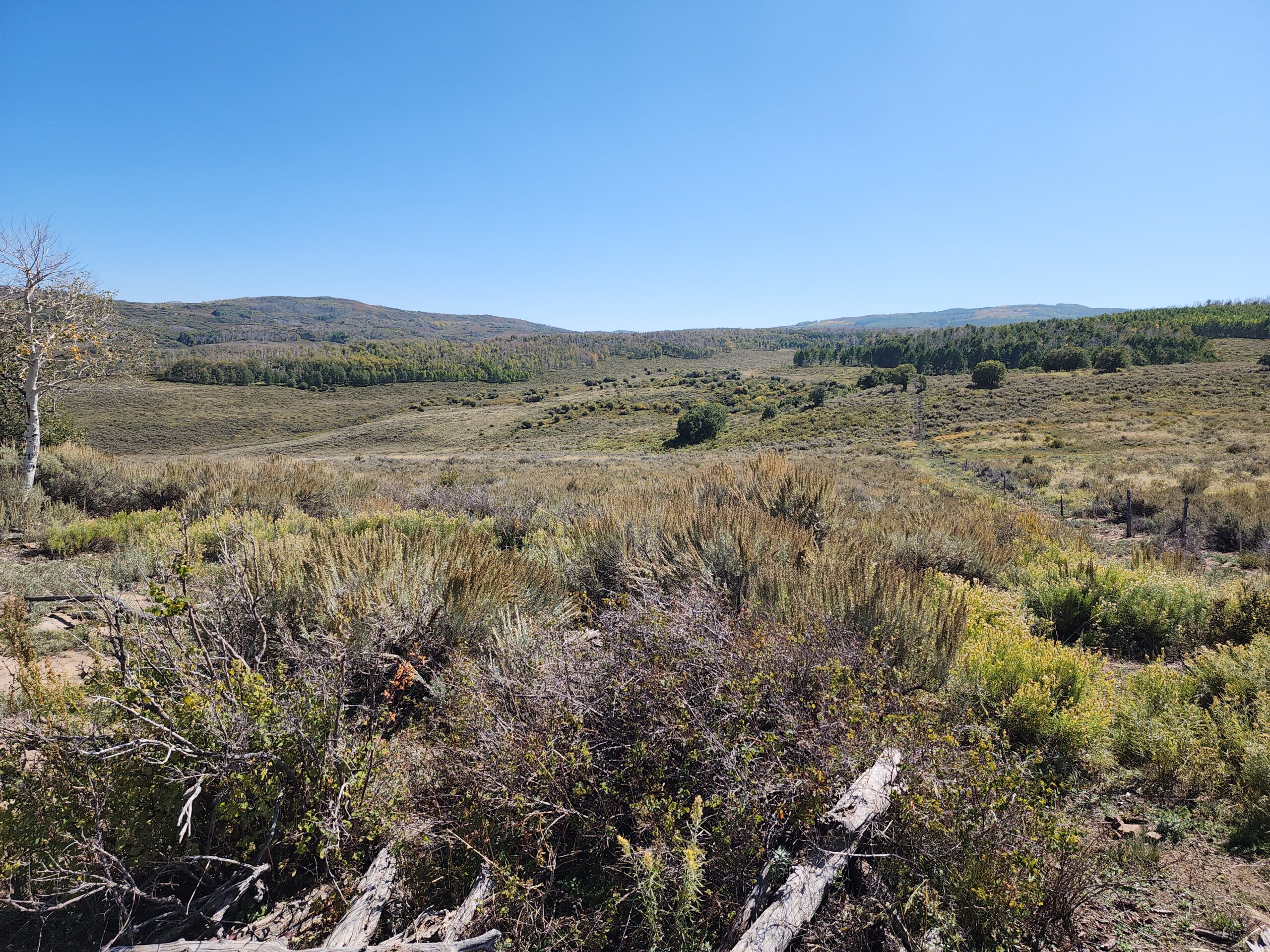 Colorado Hunting and Recreation Land