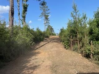 Small Hunting Tract FOR SALE in Amite County, MS