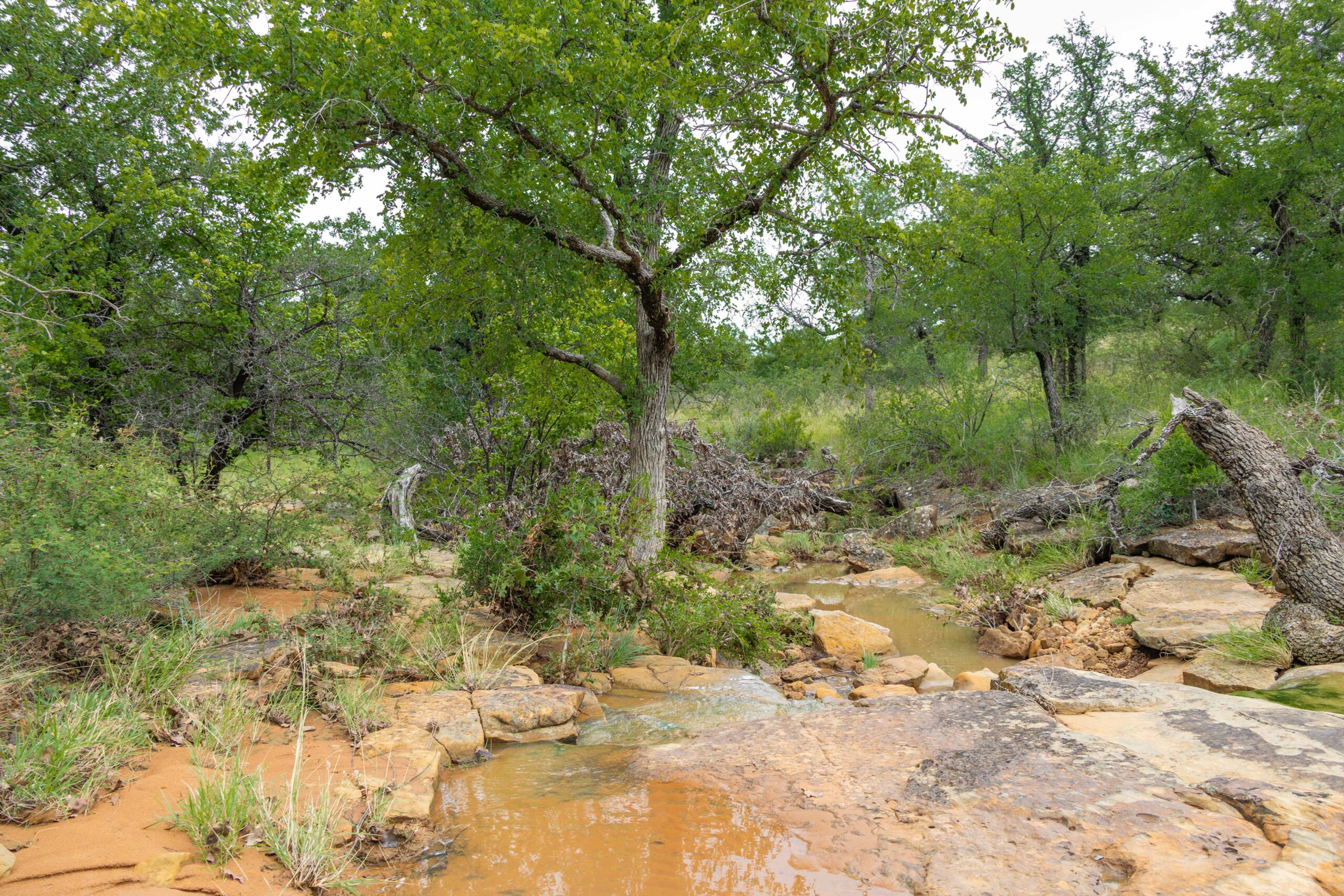Country Ranch and hunting paradise on 333.17 acres in San Saba County for sale