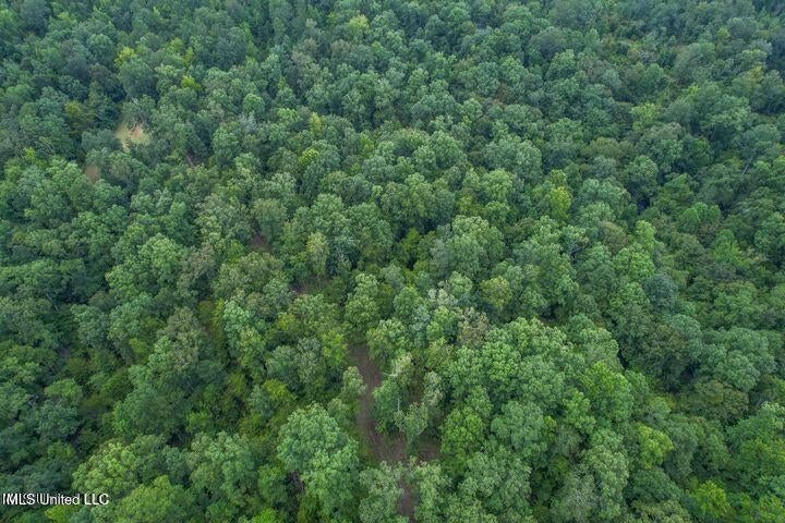 95 Acres of Prime Hunting Property in Hinds County