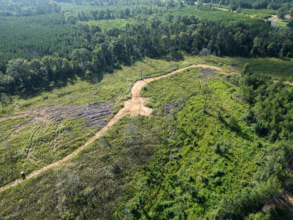 Gloster MS Hunting & Investment Land for Sale – 84 Acres