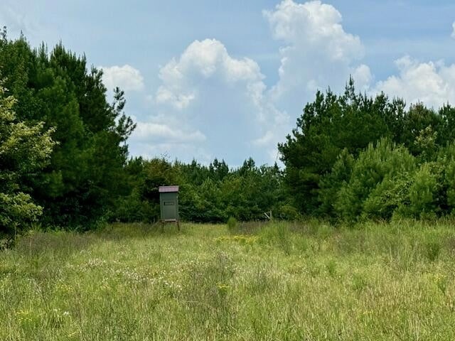 67 Acres For Sale Lawrence County MS