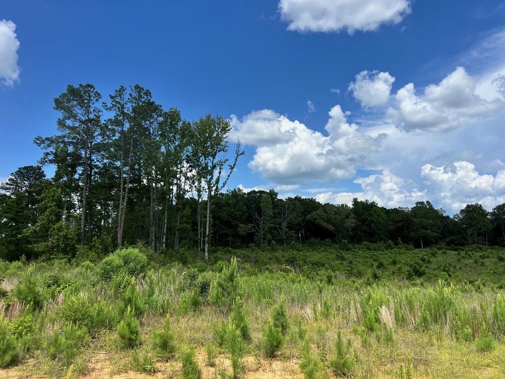 Land for Sale in Amite County, MS