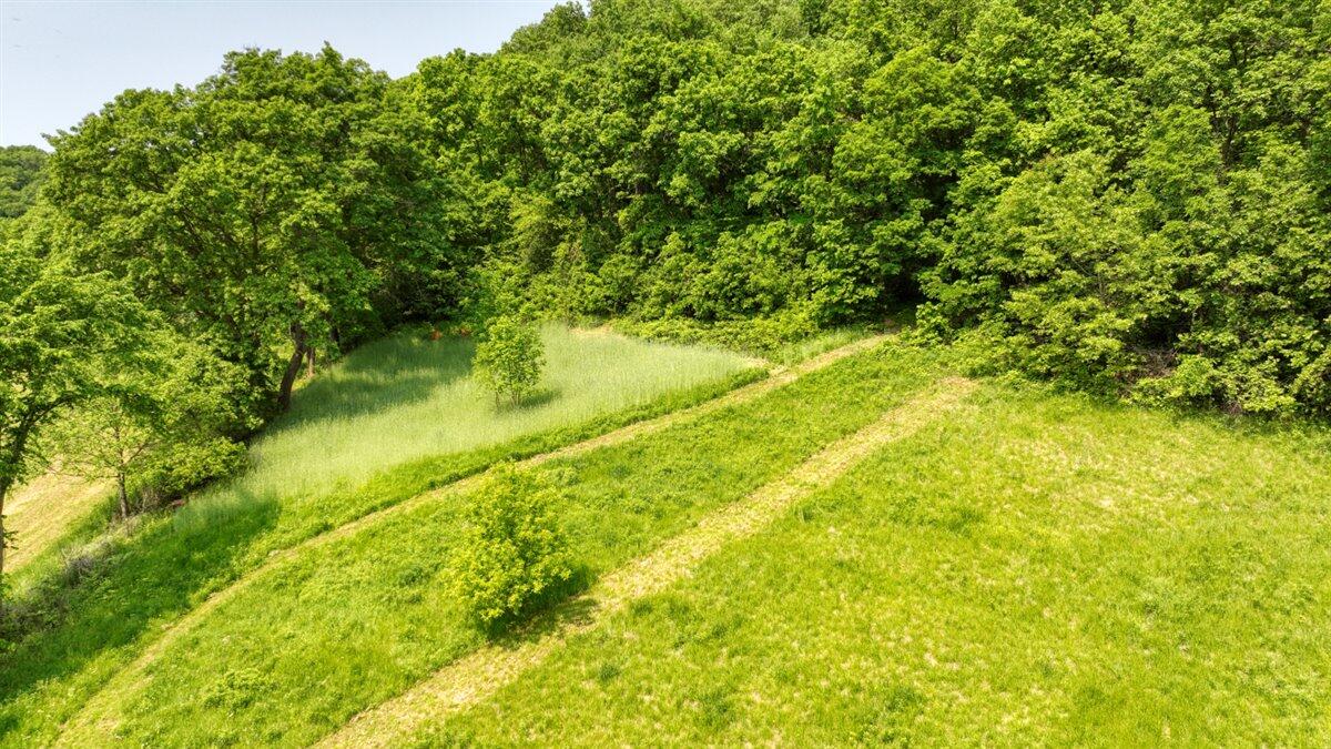 Twenty-One-Acre Hidden Gem in Vernon County WI