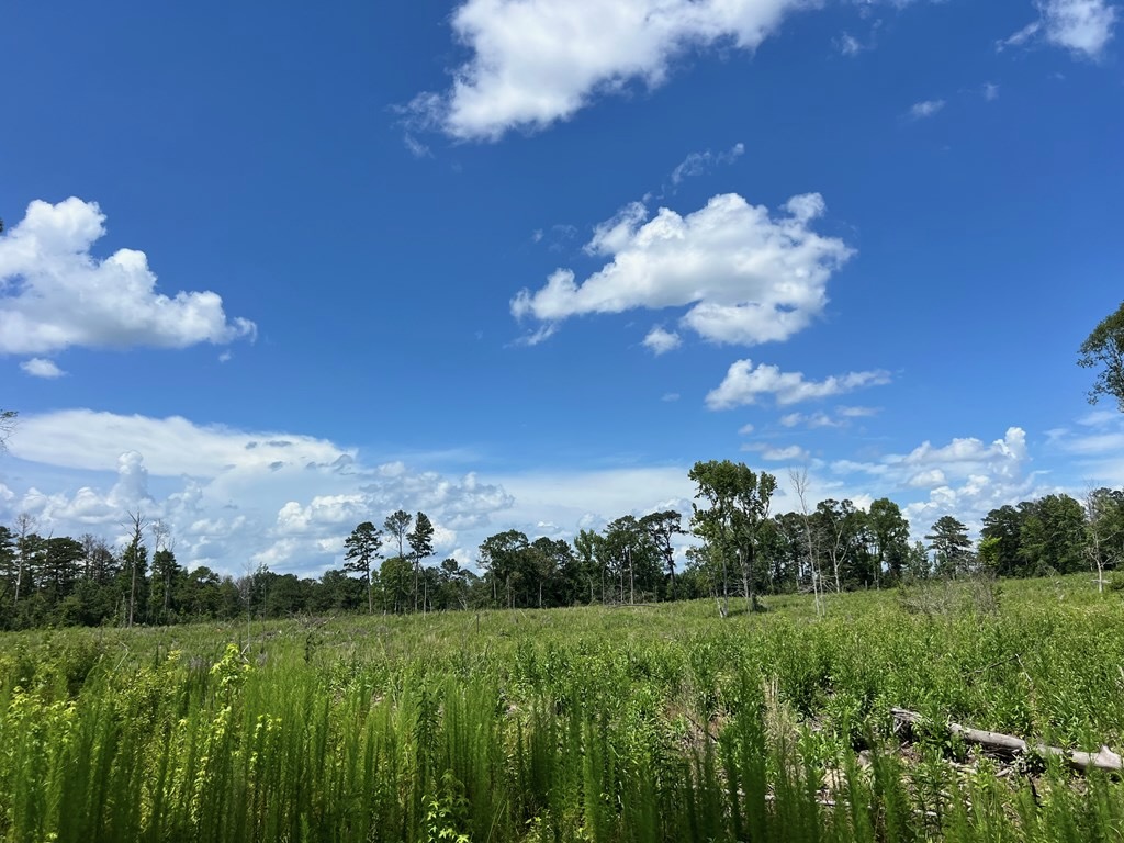 Land for Sale in Amite County, MS