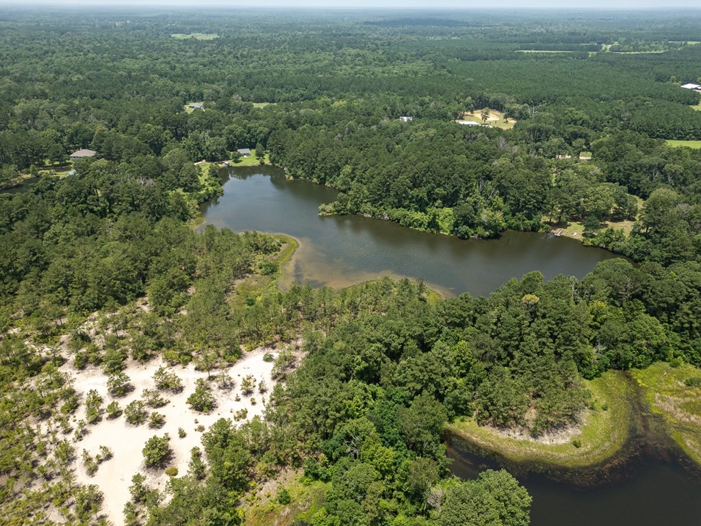 Clear Lake Land in East Feliciana Parish, Louisiana