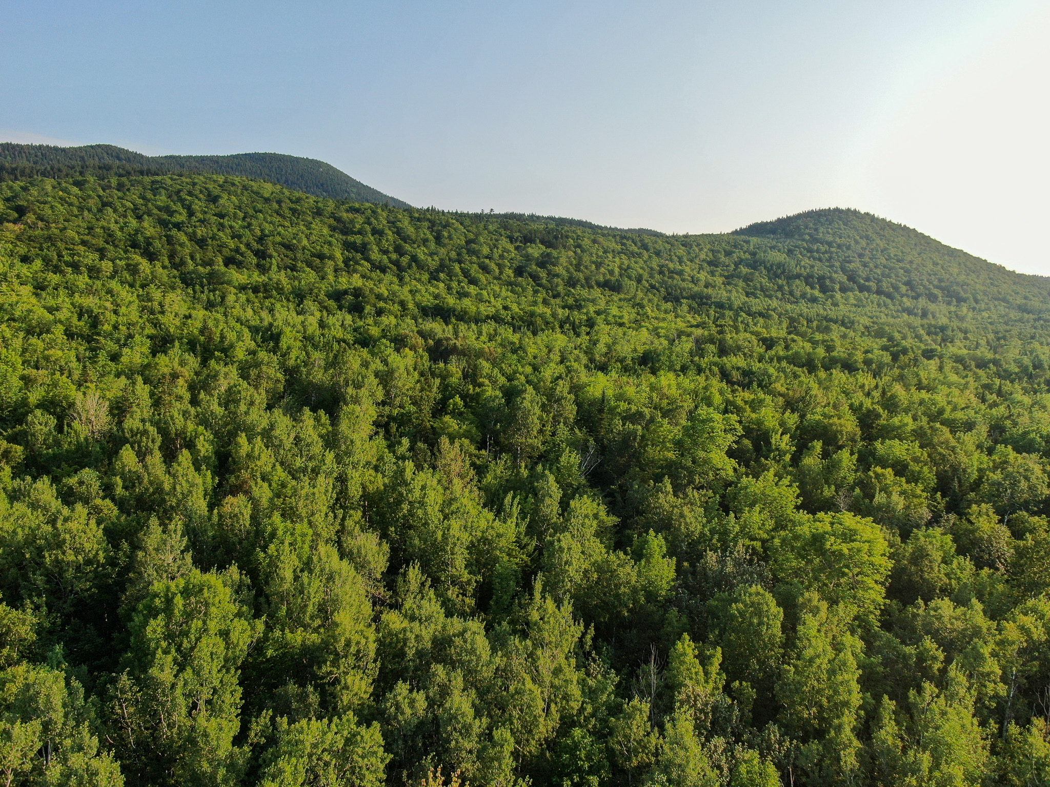 Off-Grid Cabin with 150± Acres Bordering Mount Chase