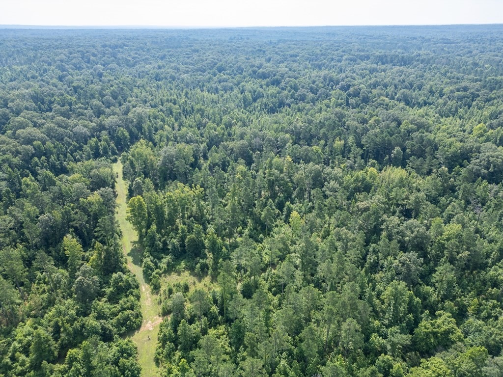 Hunting Land in Claiborne County, MS – The Reagan Tract