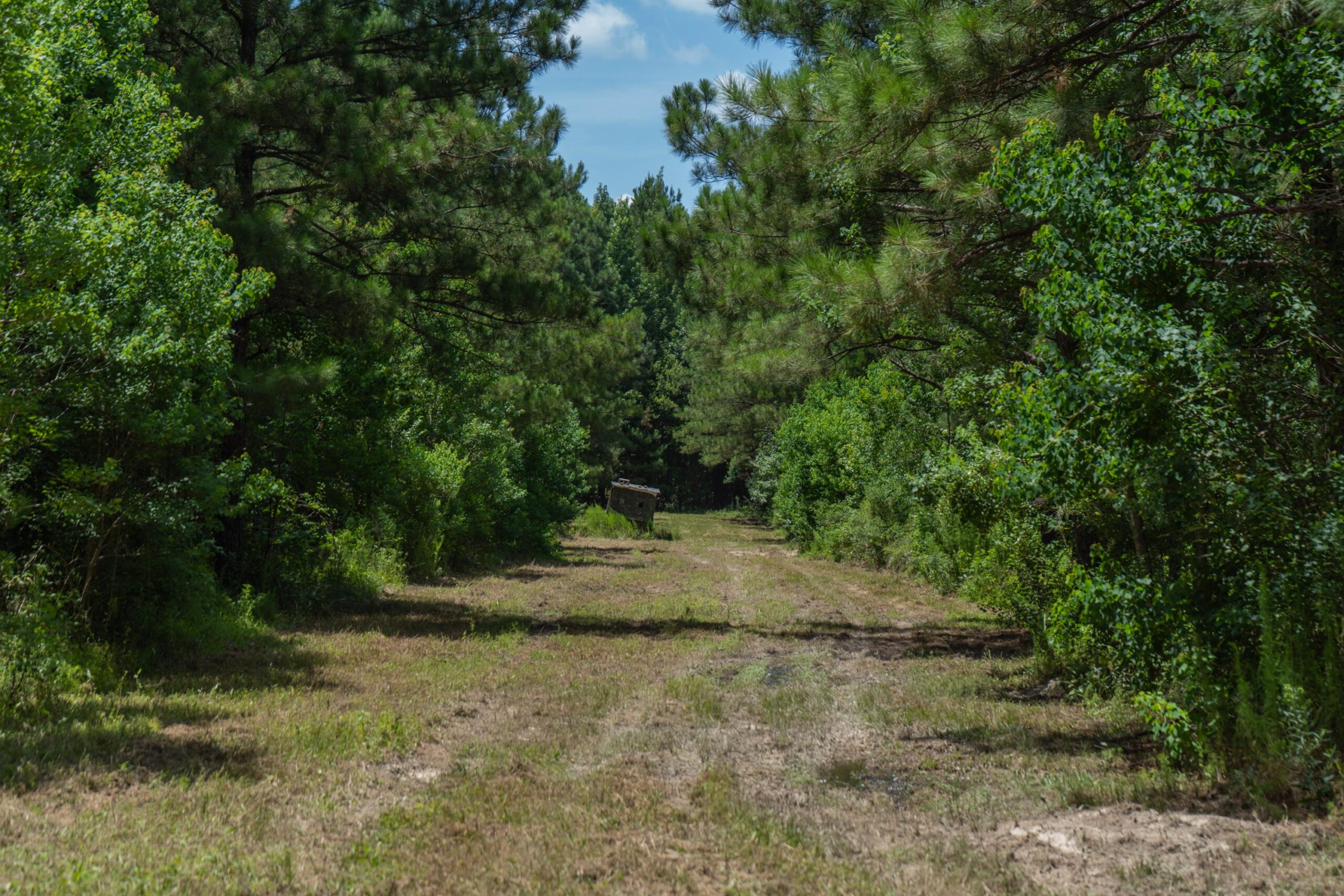 Lapine 216 Multi Use Recreational Timber – Ouachita Parish