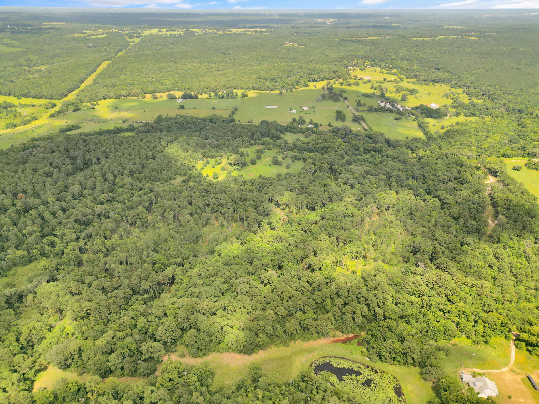 Texas Recreational Hunting Ranch for Sale East of Dallas
