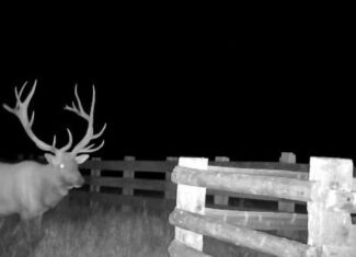Windancer Ranch | | Custer, Montana