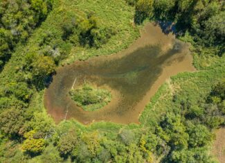 Whitetail and Waterfowl Hunting Property w/ Crop Income in Bowling Green, Kentucky
