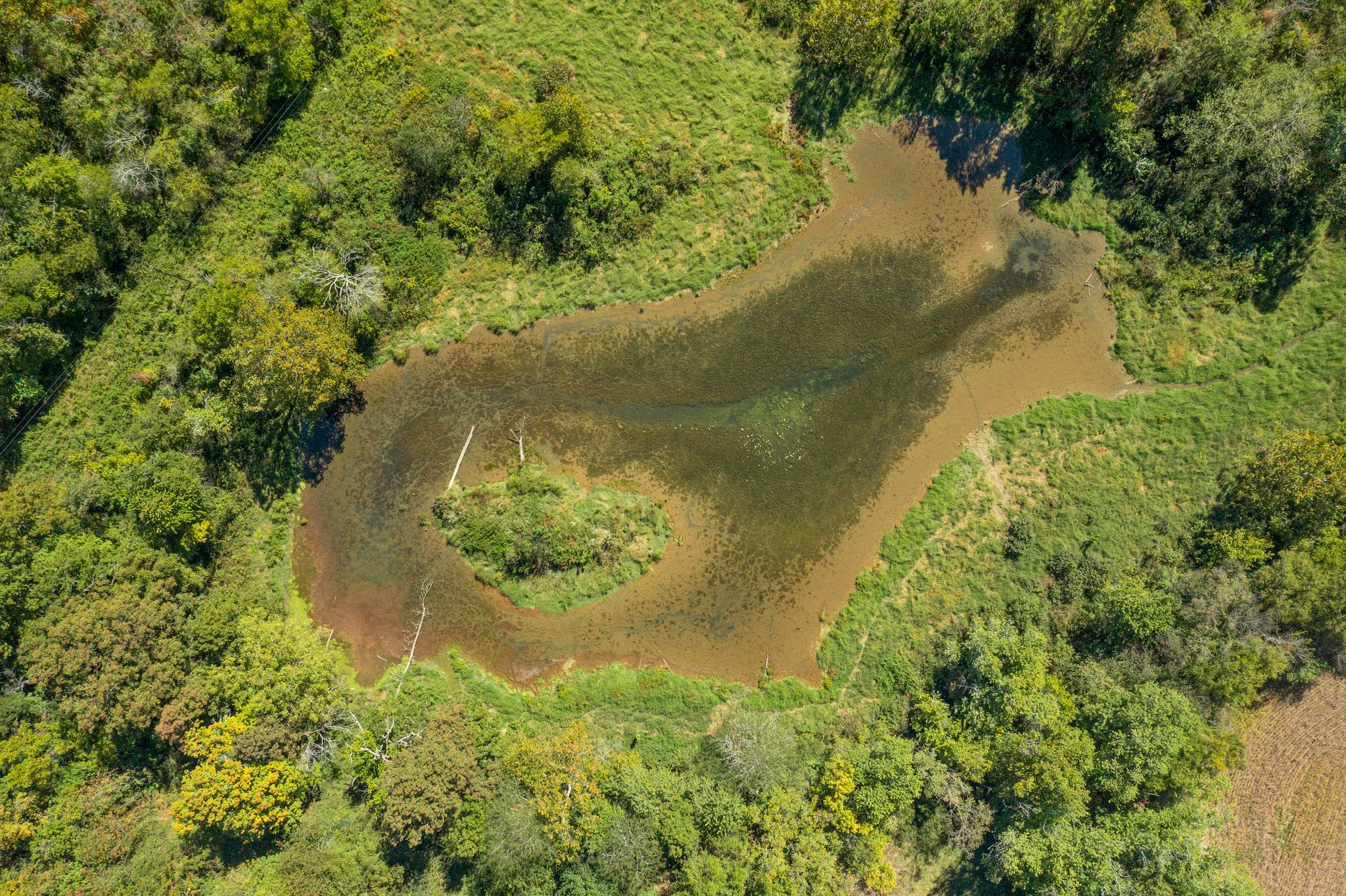 Whitetail and Waterfowl Hunting Property w/ Crop Income in Bowling Green, Kentucky