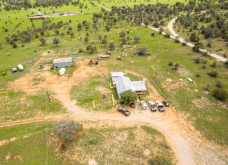 Cattle & Hunting Ranch for Sale in Weed, NM