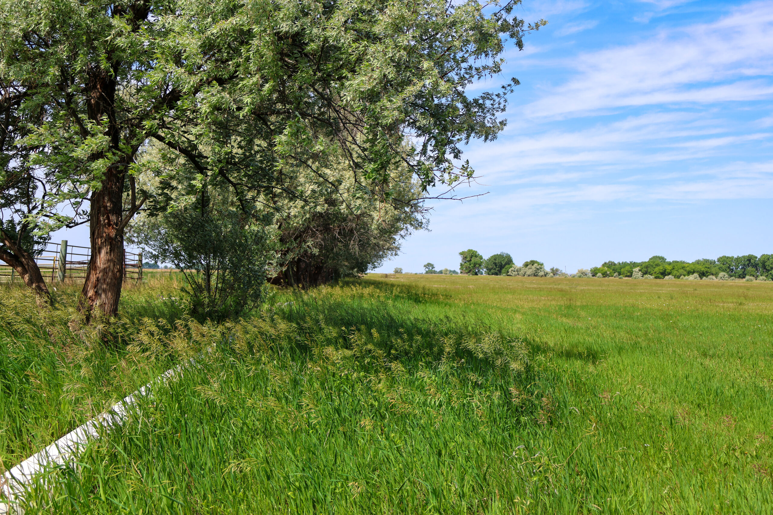 East Malta Irrigated Farm & Ranch – The Hould Property