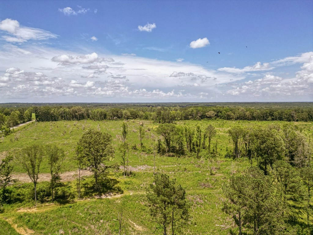 Land for Sale in Amite County, MS