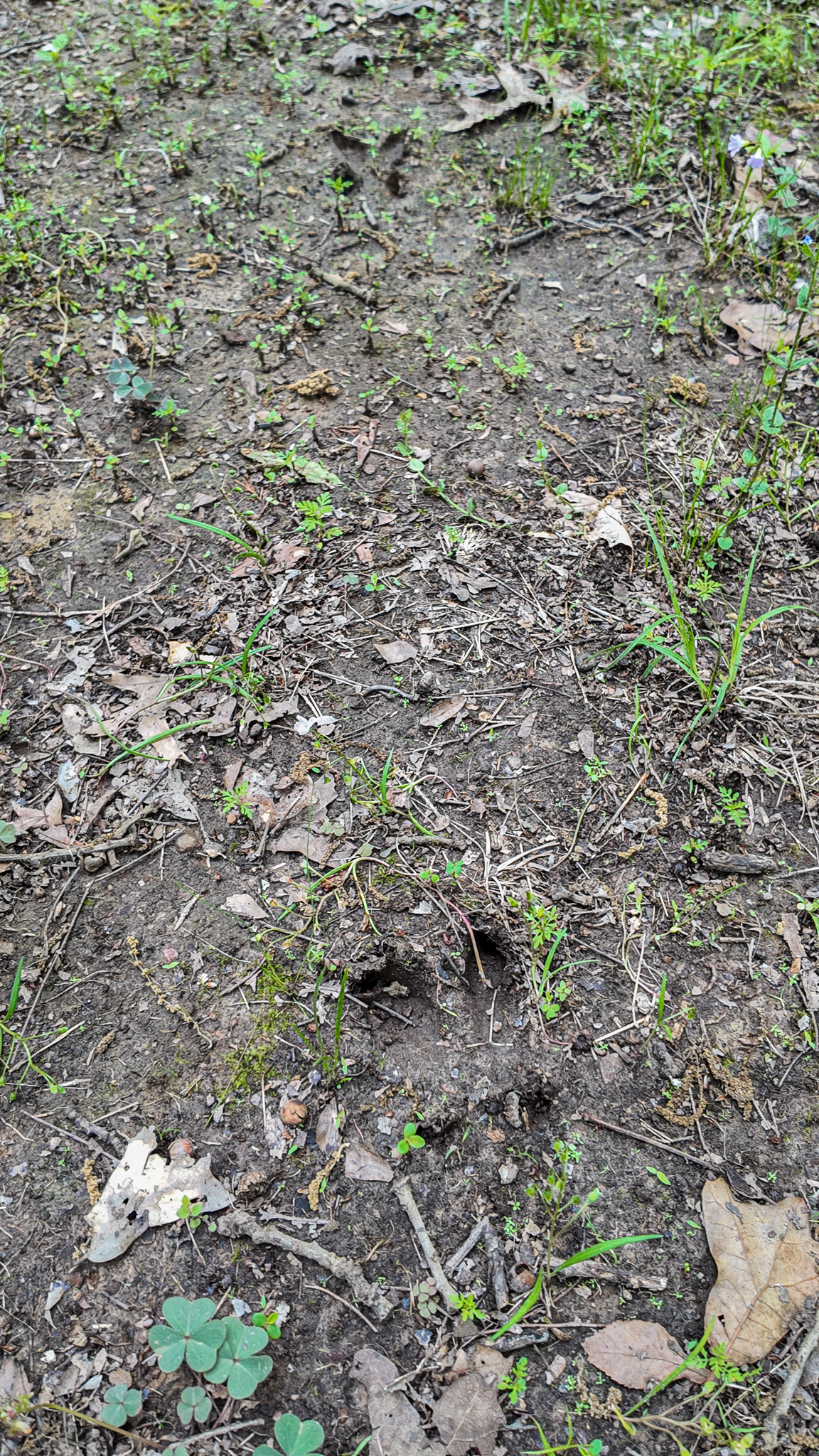 St. Clair County MO Recreational Land