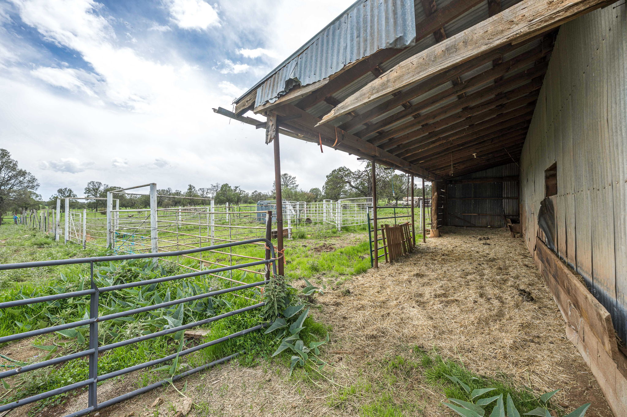 Cattle & Hunting Ranch for Sale in Weed, NM