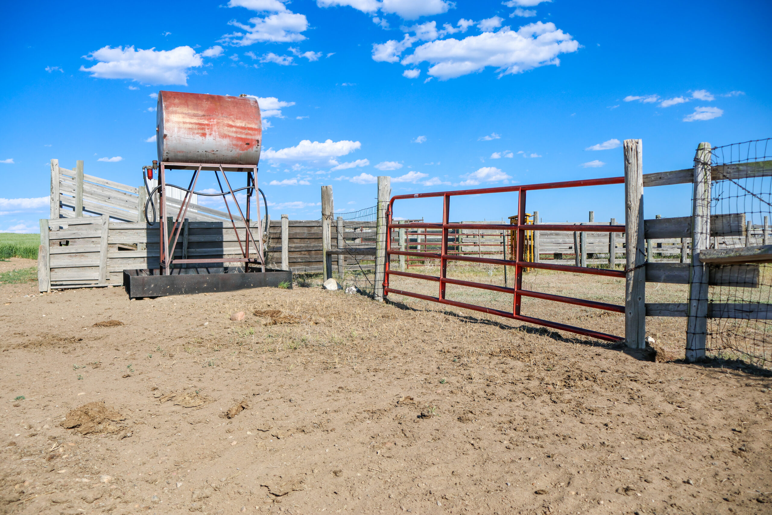 Golden Triangle Farm & Ranch in Hill County, Montana