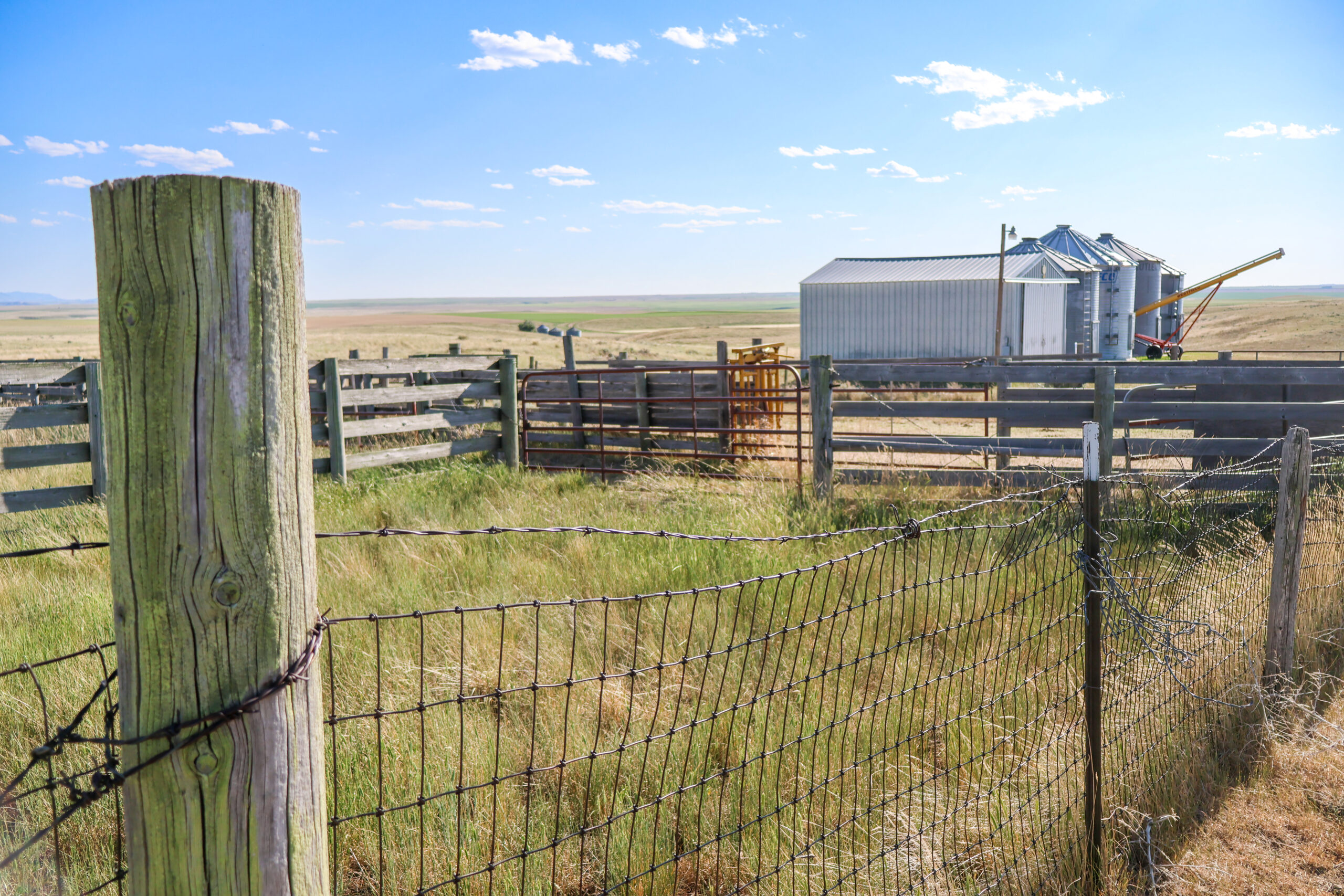 Golden Triangle Farm & Ranch in Hill County, Montana