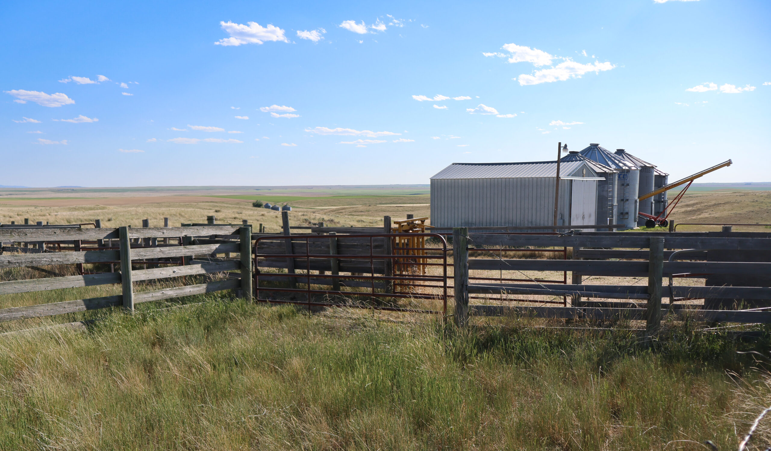 Golden Triangle Farm & Ranch in Hill County, Montana