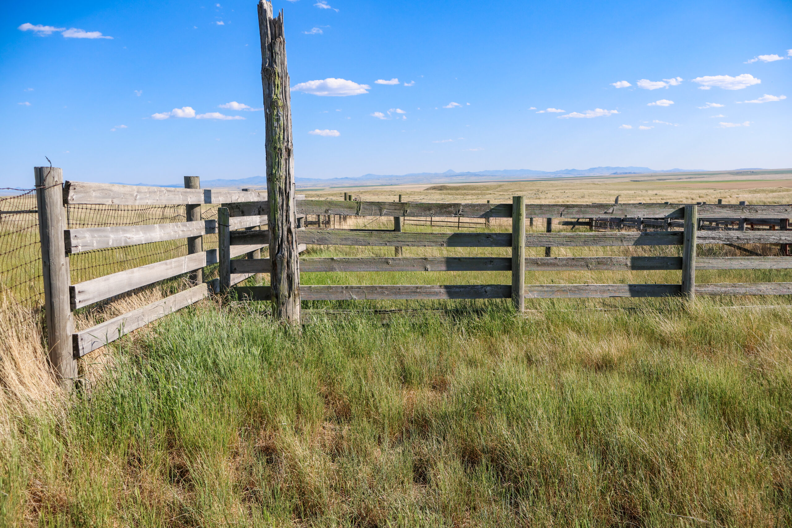 Golden Triangle Farm & Ranch in Hill County, Montana
