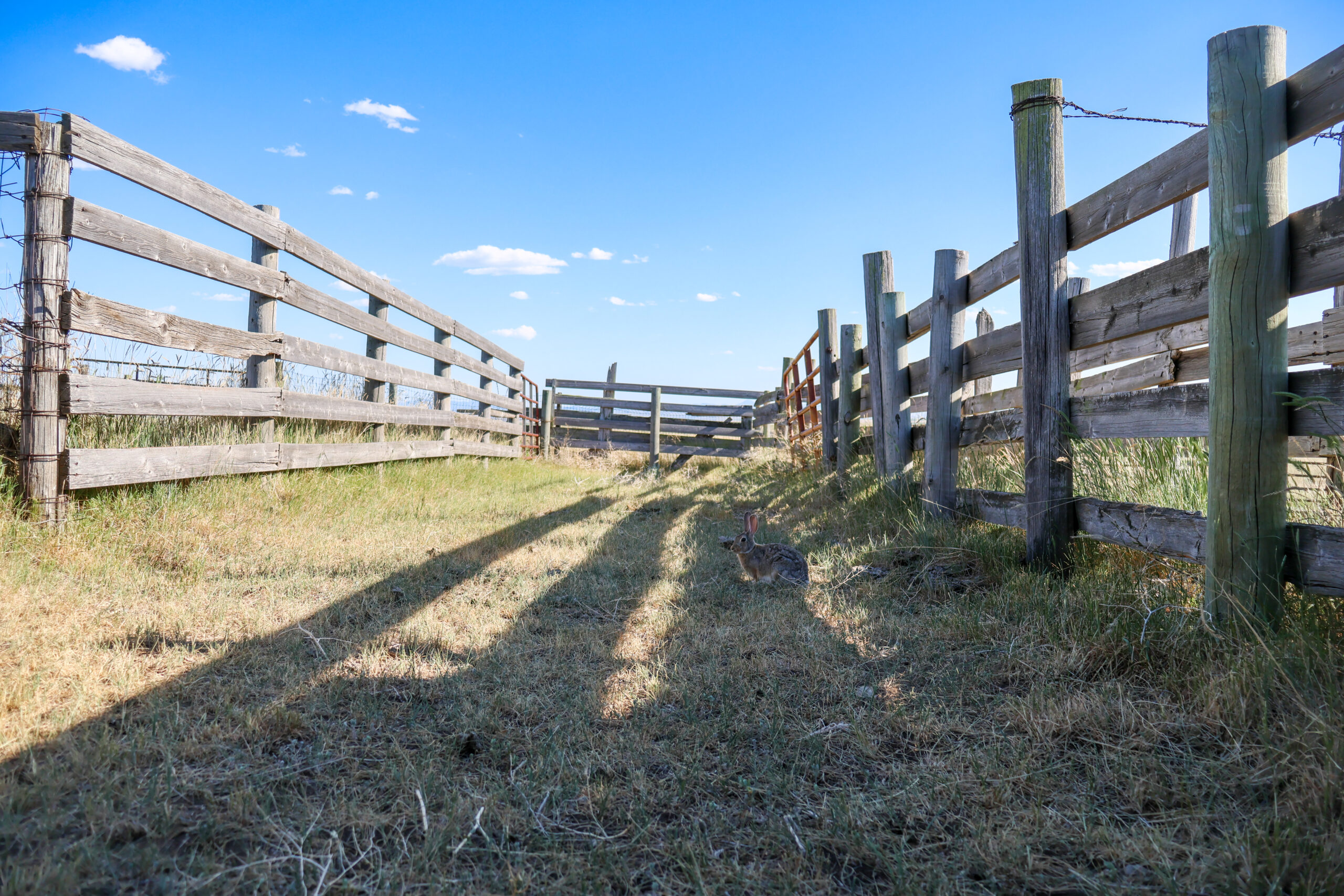 Golden Triangle Farm & Ranch in Hill County, Montana
