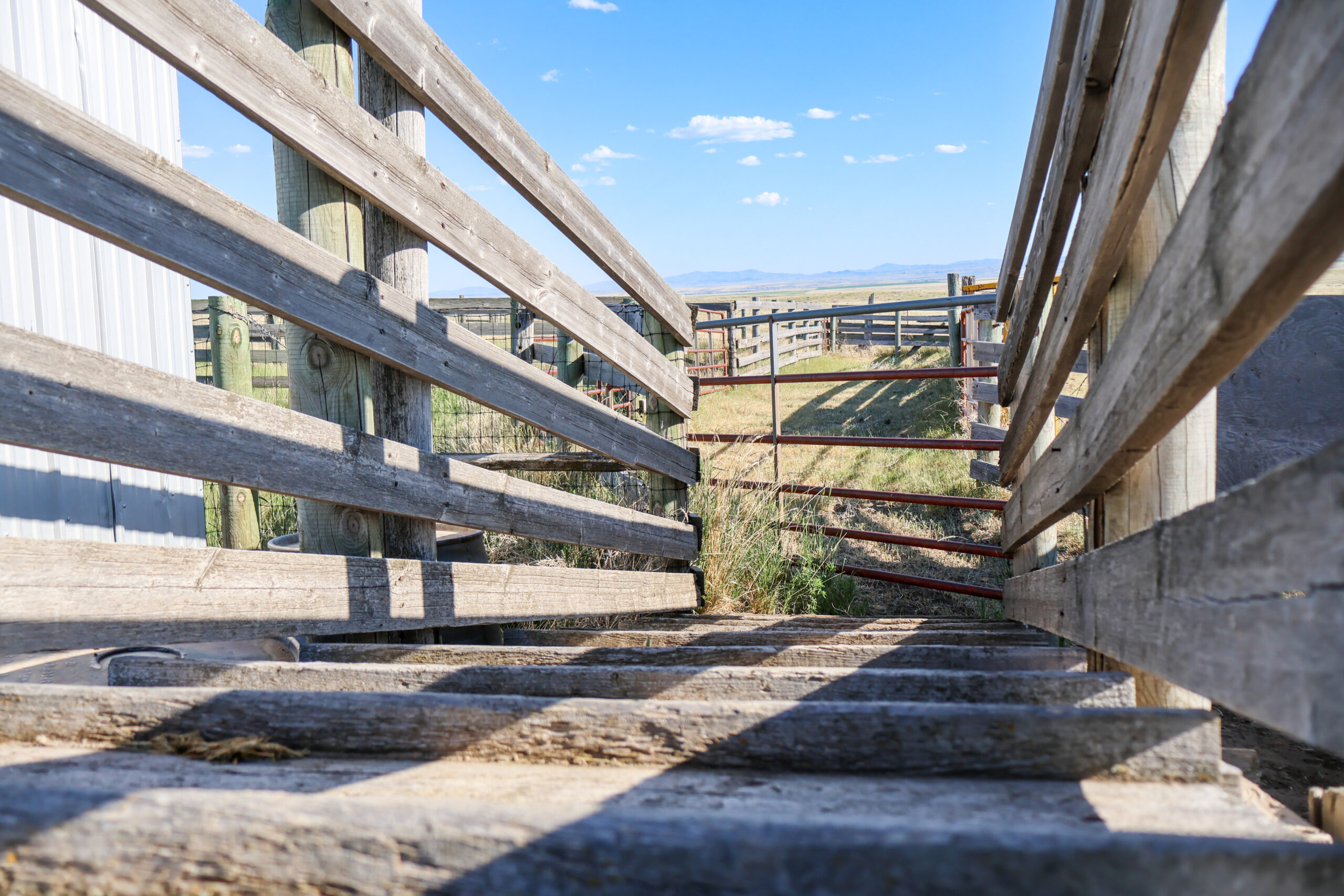 Golden Triangle Farm & Ranch in Hill County, Montana