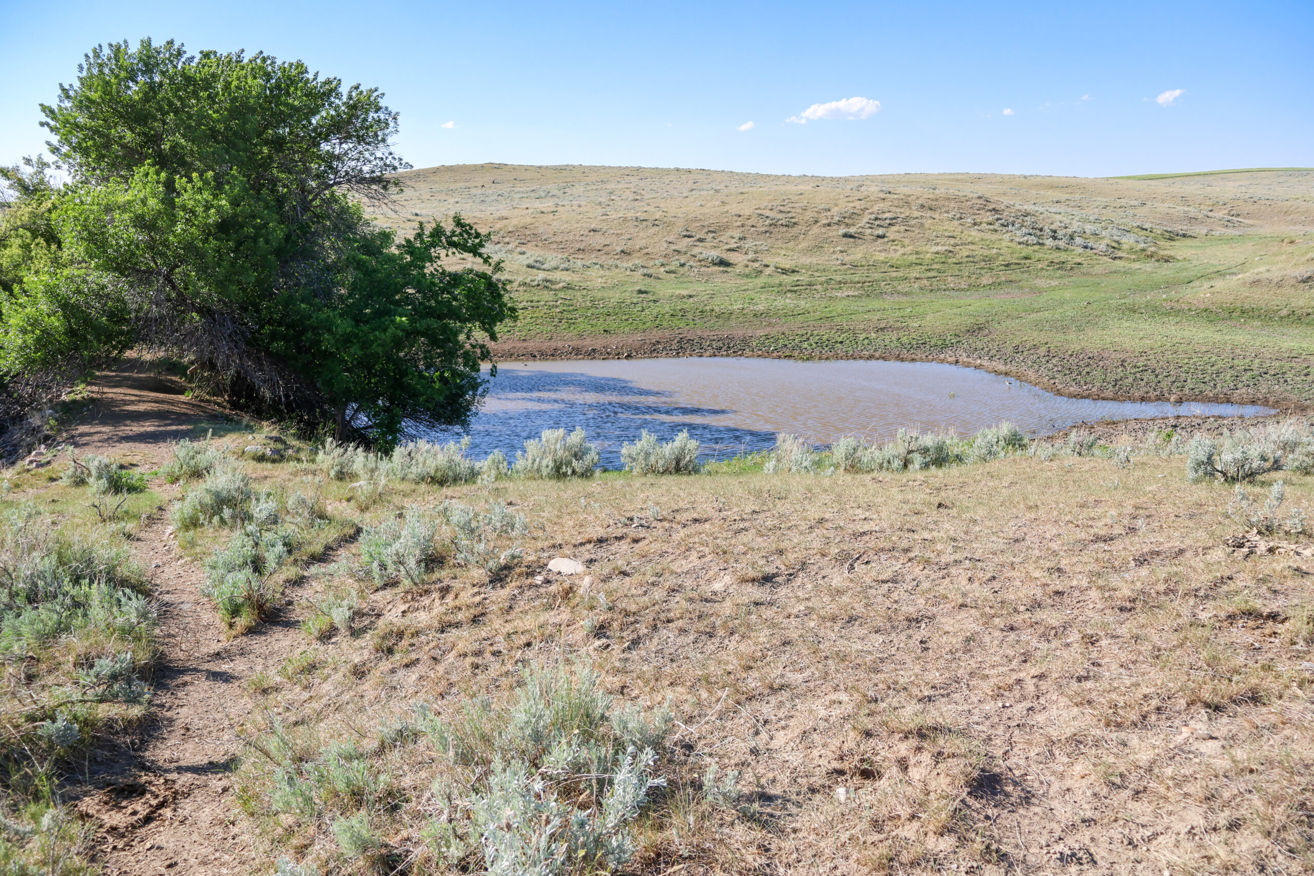 Golden Triangle Farm & Ranch in Hill County, Montana
