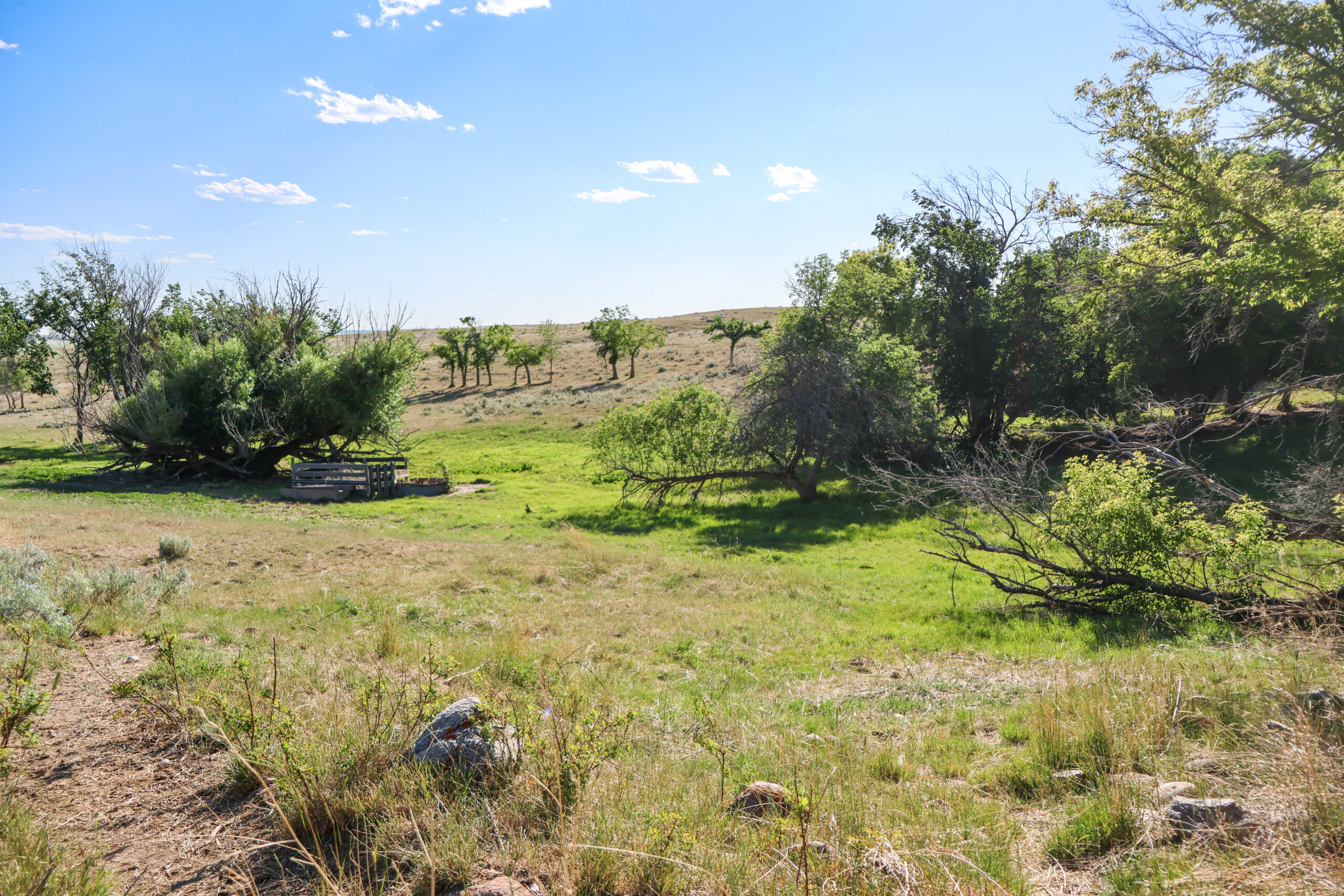 Golden Triangle Farm & Ranch in Hill County, Montana