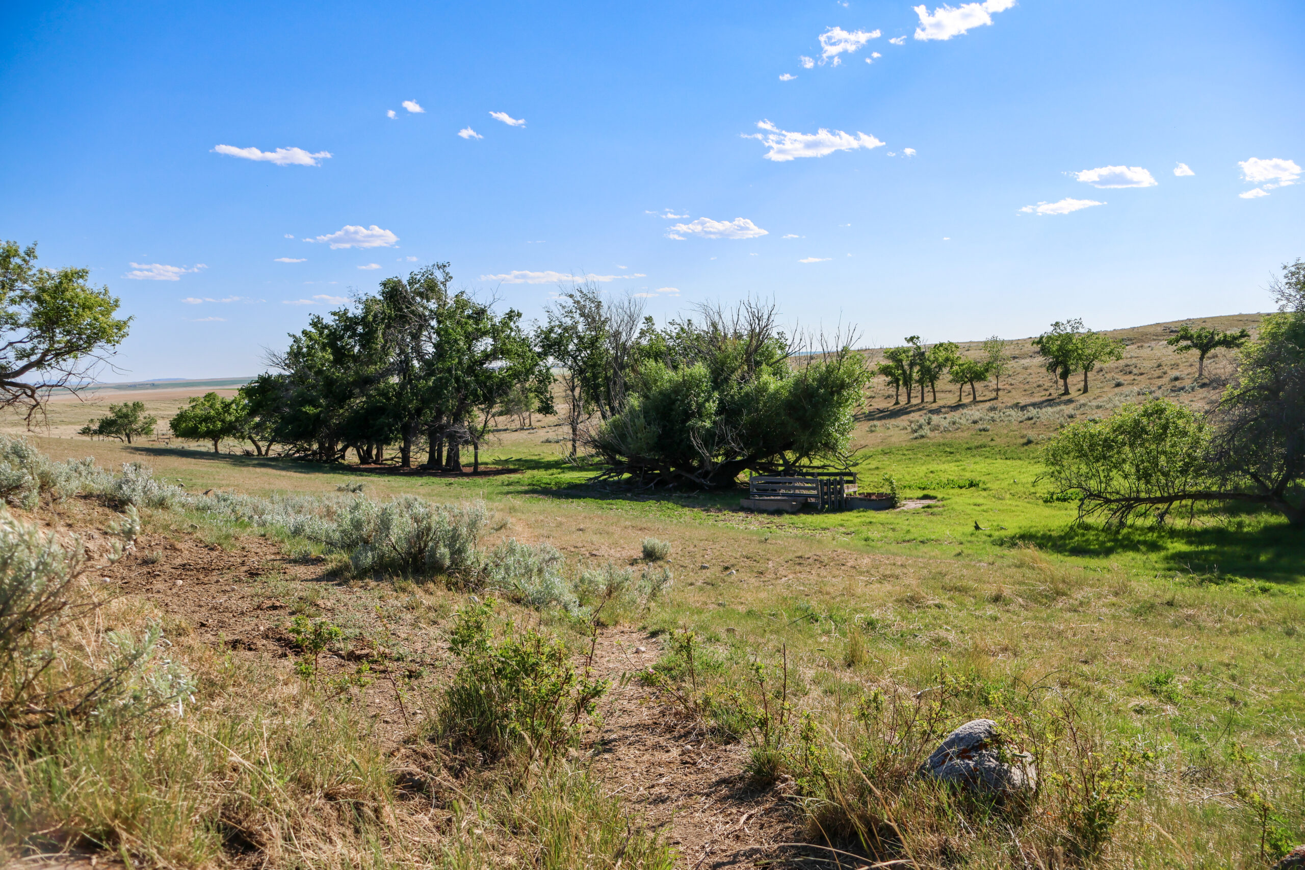 Golden Triangle Farm & Ranch in Hill County, Montana