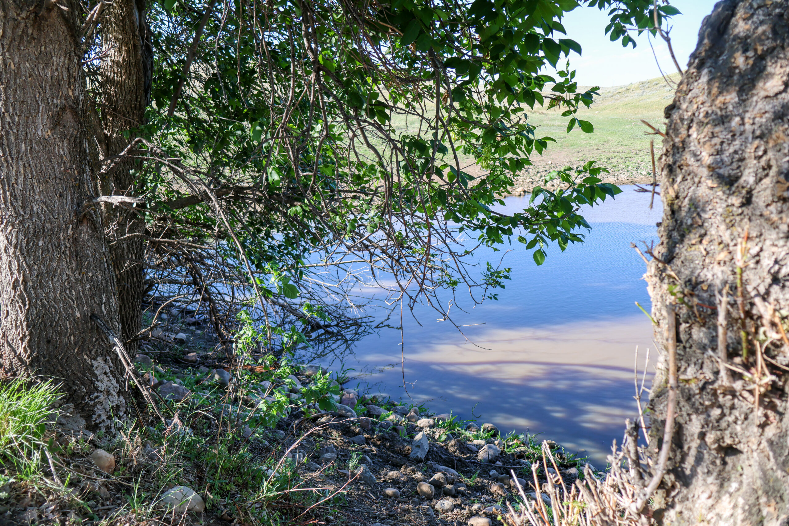 Golden Triangle Farm & Ranch in Hill County, Montana