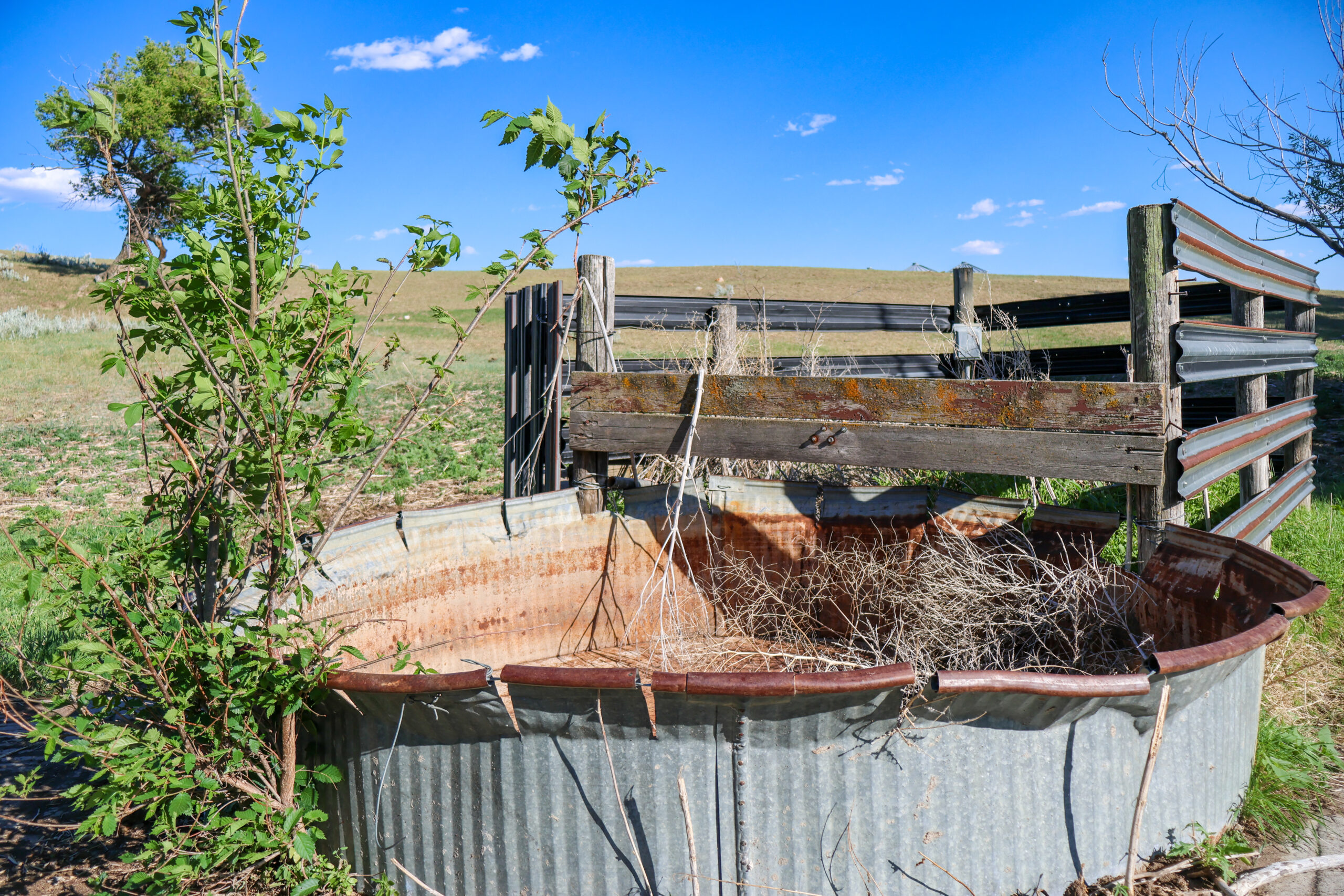 Golden Triangle Farm & Ranch in Hill County, Montana