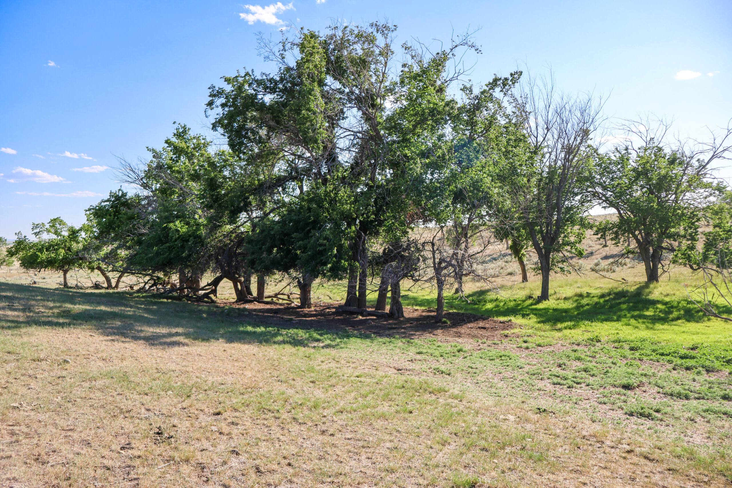Golden Triangle Farm & Ranch in Hill County, Montana