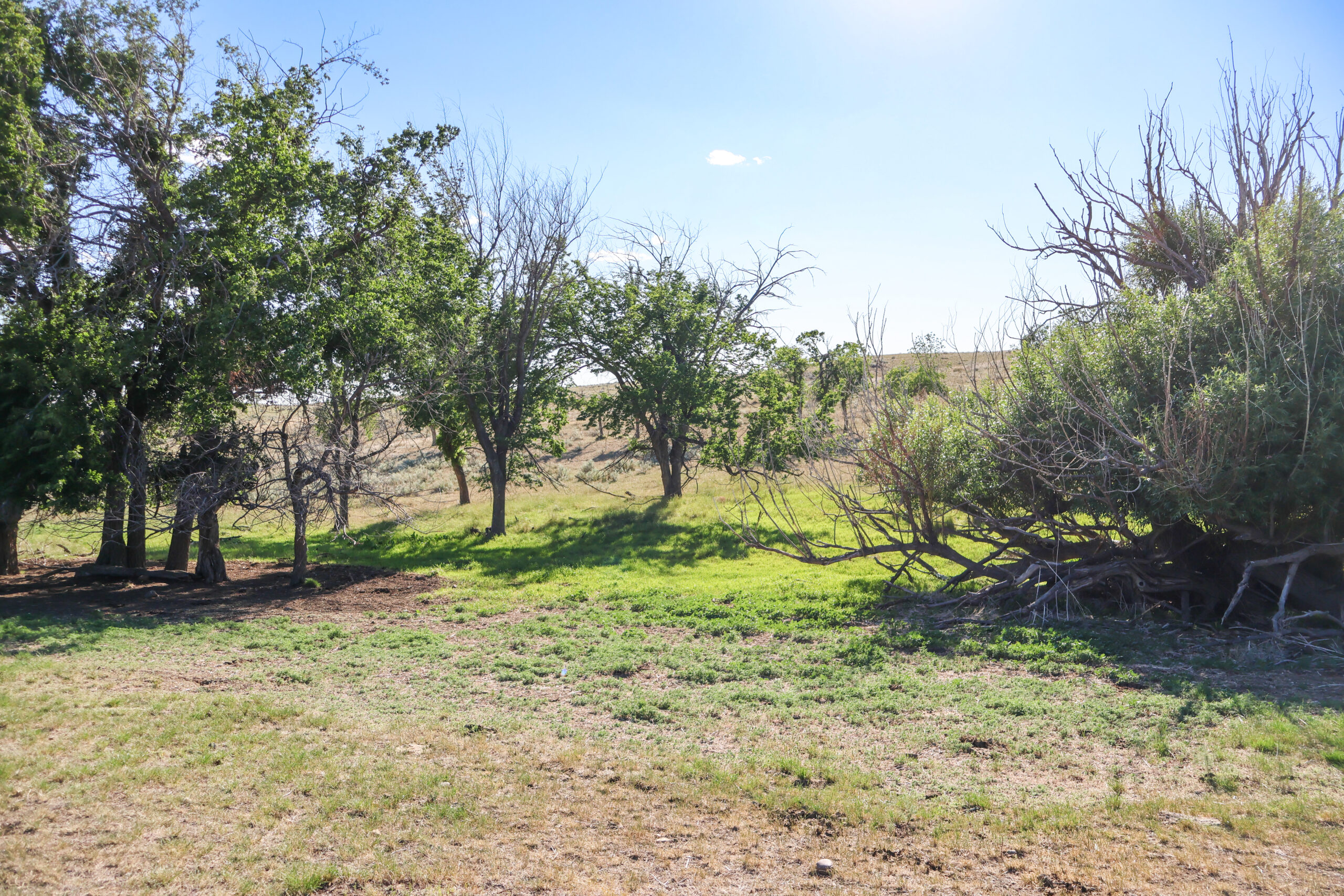 Golden Triangle Farm & Ranch in Hill County, Montana