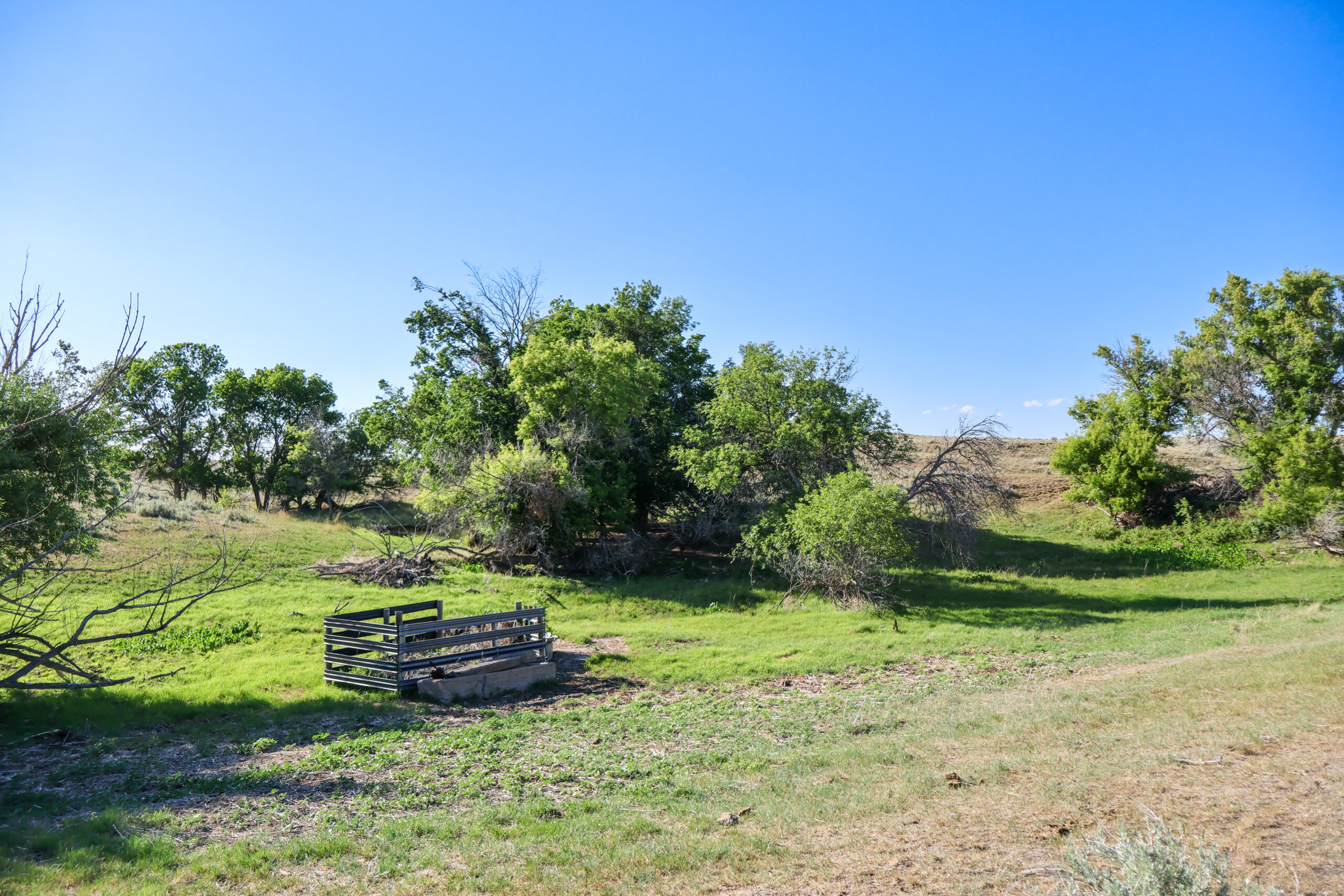 Golden Triangle Farm & Ranch in Hill County, Montana